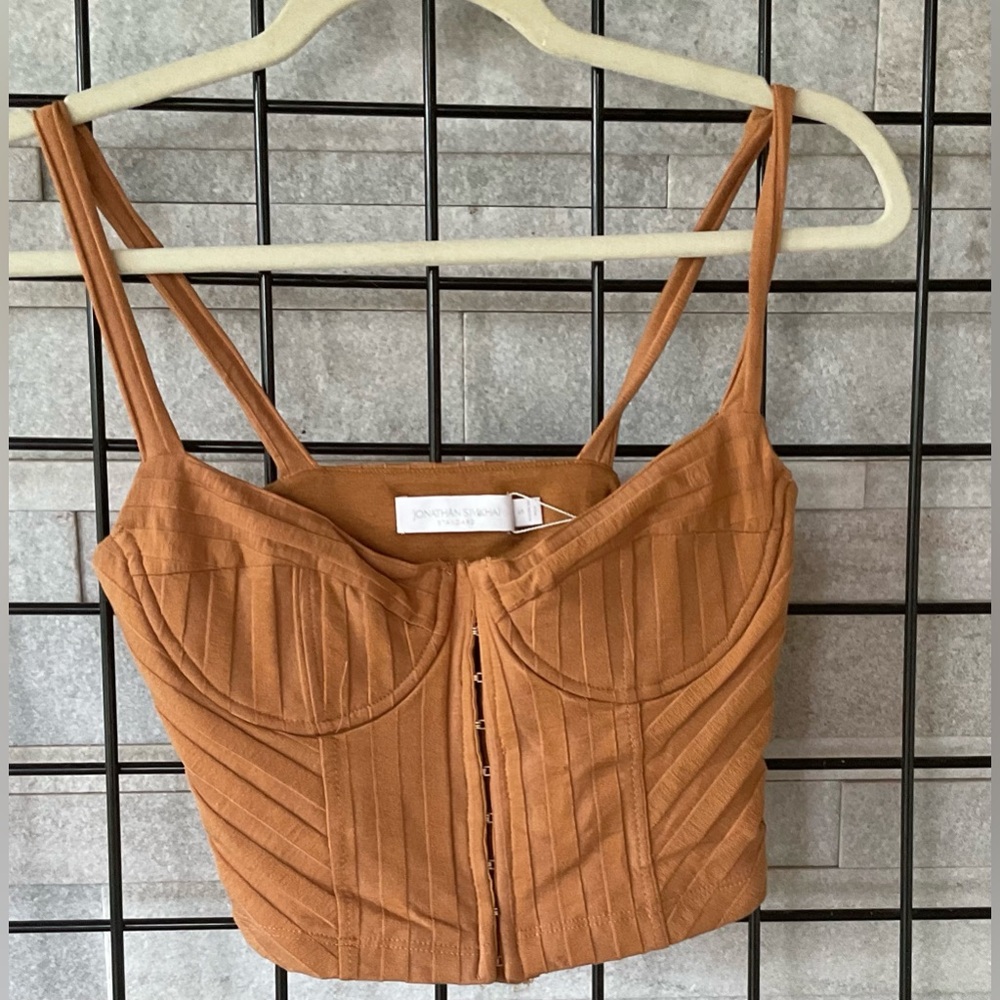 Bustier Crop Top.